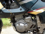     Yamaha XTZ660 Tenere 1998  16